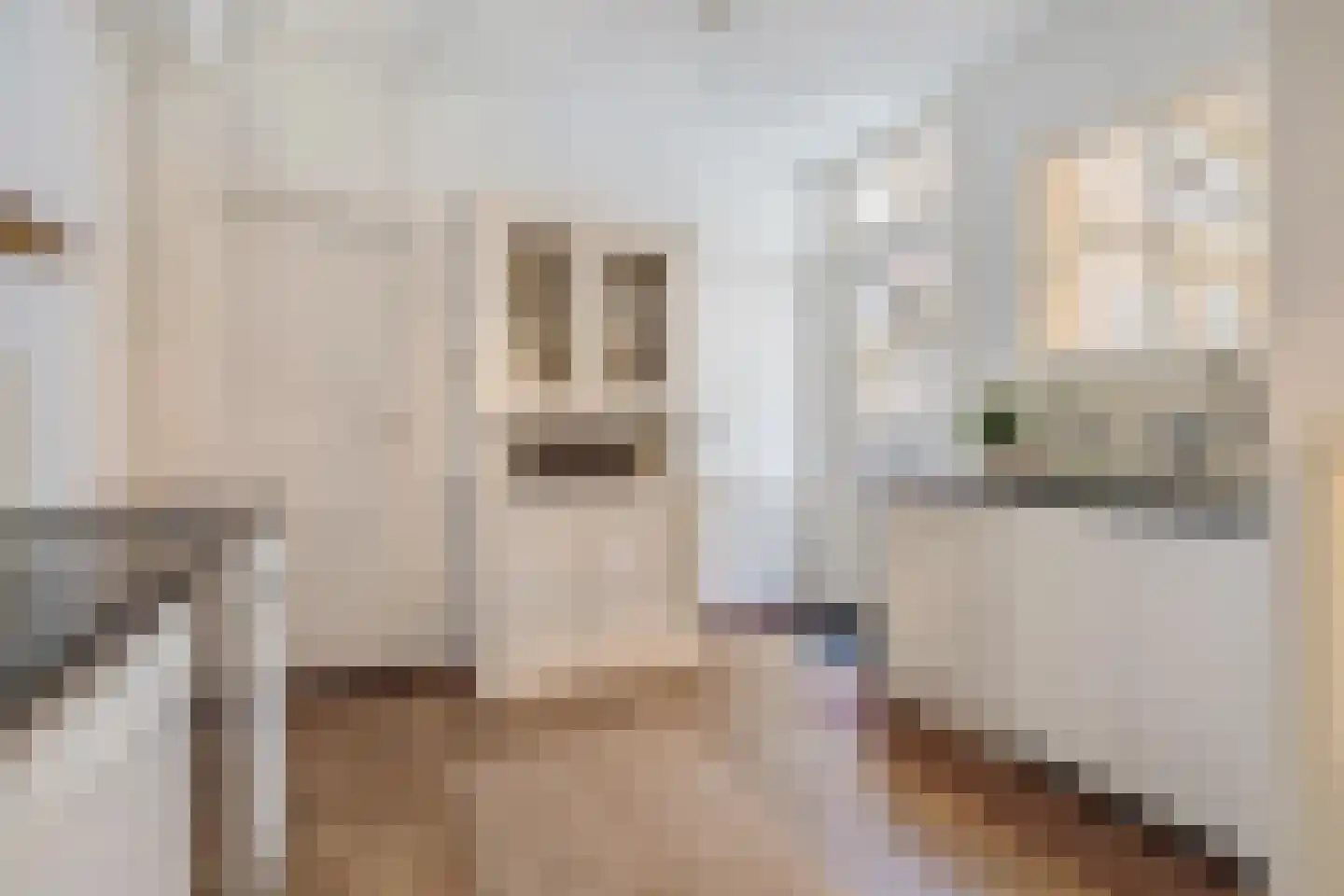Teteringenstraat 13 Breda thumbnail 32