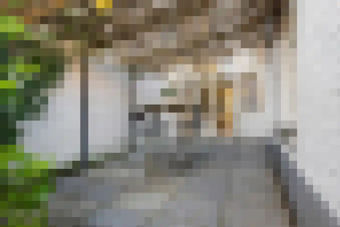 Teteringenstraat 13 Breda thumbnail 51