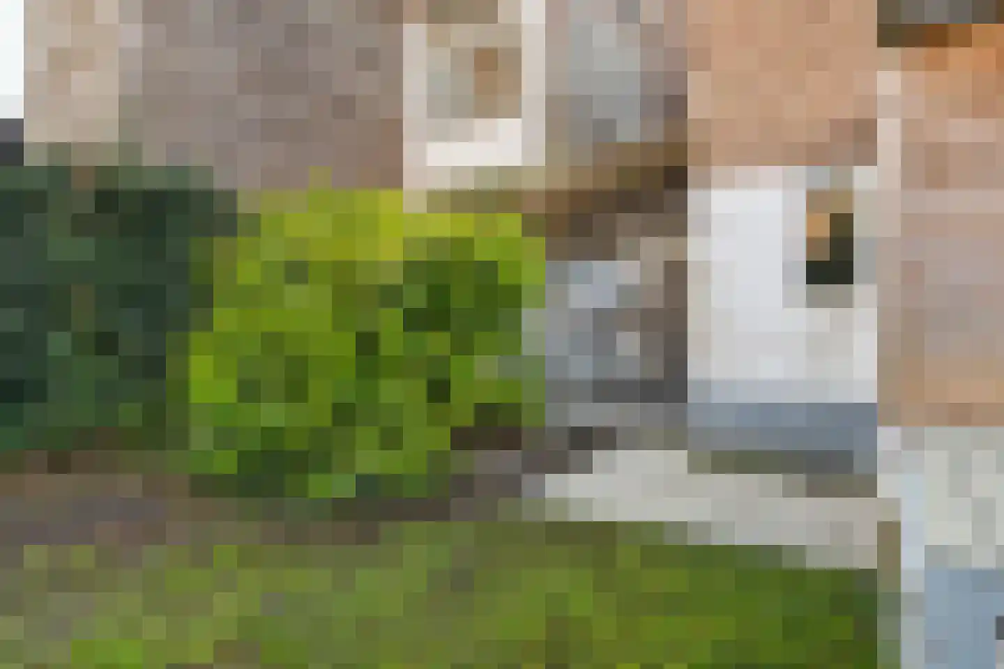Teteringenstraat 13 Breda thumbnail 55