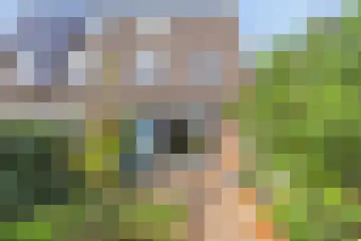 Teteringenstraat 145 Arnhem thumbnail 34