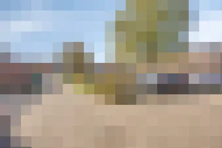 Teteringenstraat 145 Arnhem thumbnail 4