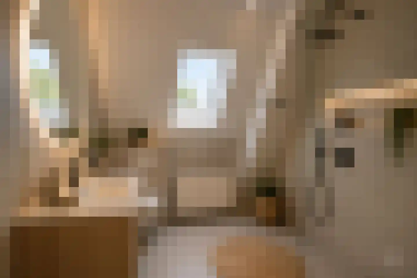 Teteringenstraat 20 Arnhem thumbnail 20