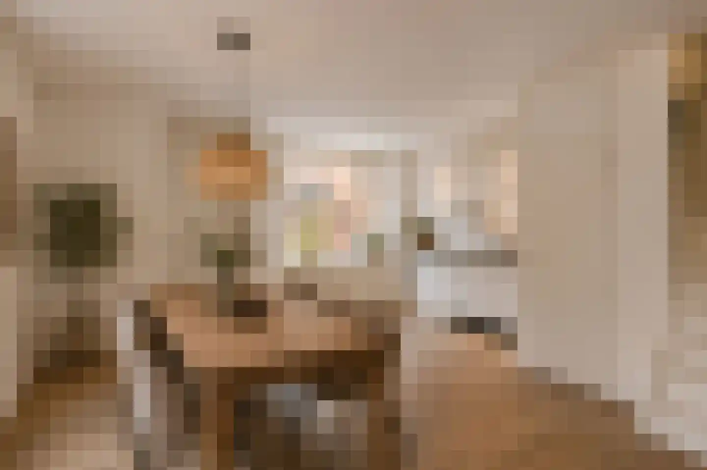 Teteringenstraat 20 Arnhem thumbnail 4