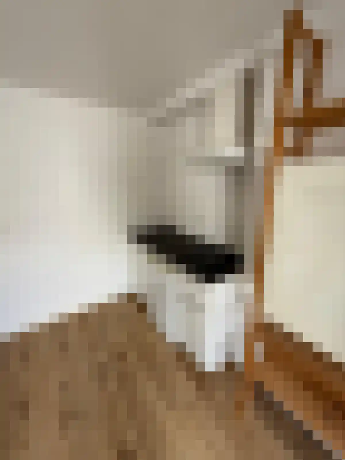 Teteringenstraat 21 Breda thumbnail 5