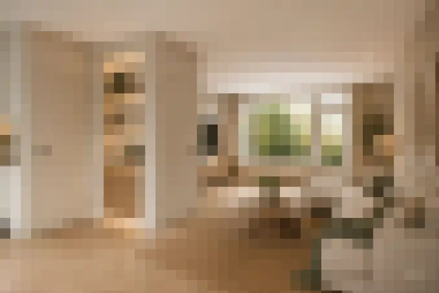 Teteringenstraat 36 Arnhem thumbnail 4