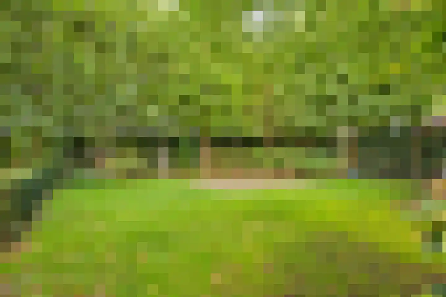 Teteringsedijk 111 Breda thumbnail 42