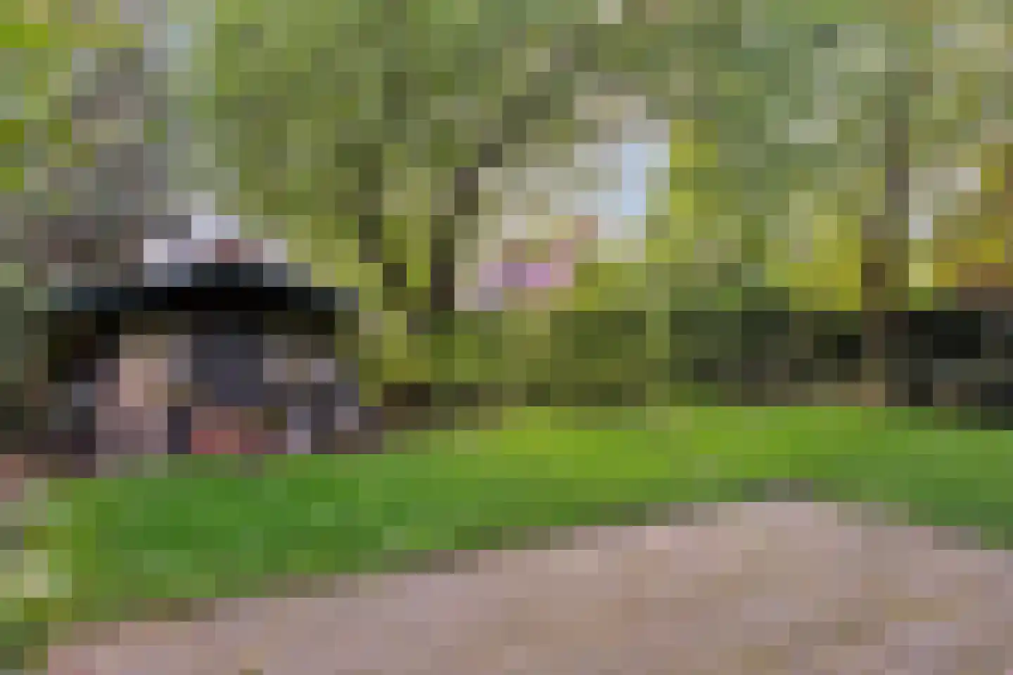 Teteringsedijk 111 Breda thumbnail 43