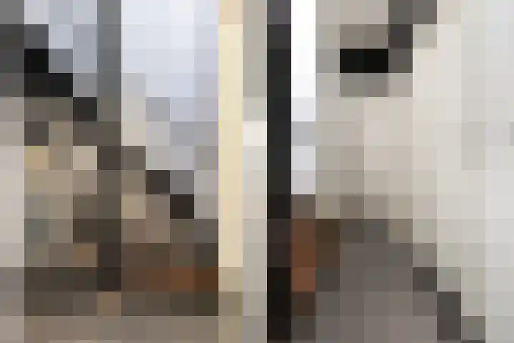 Teteringsedijk 148 E21 Breda thumbnail 24