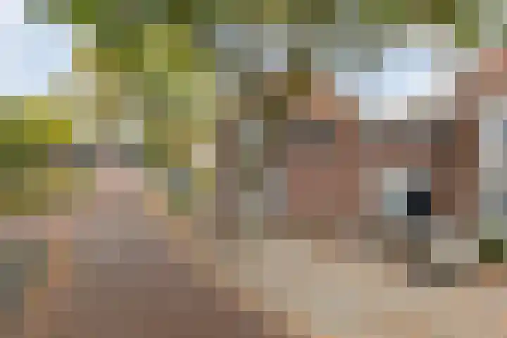 Teteringsedijk 2 A Breda thumbnail 18