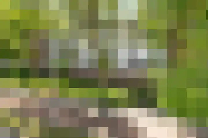 Teteringsedijk 250 B Breda thumbnail 22