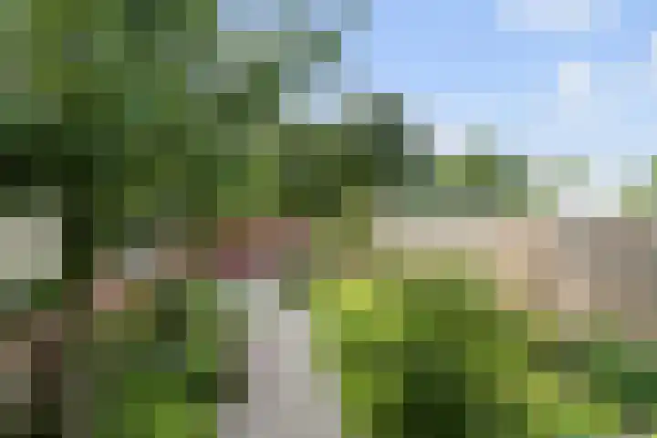 Teteringsedijk 26 Breda thumbnail 5