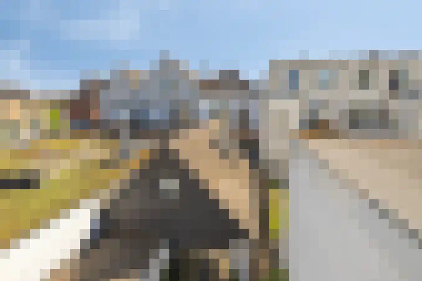 Teteringsedijk 33 Breda thumbnail 37