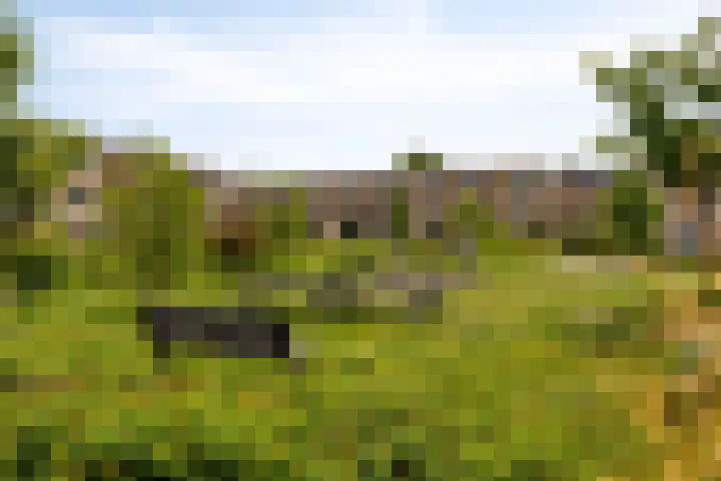Teteringsedijk 55 Breda thumbnail 41