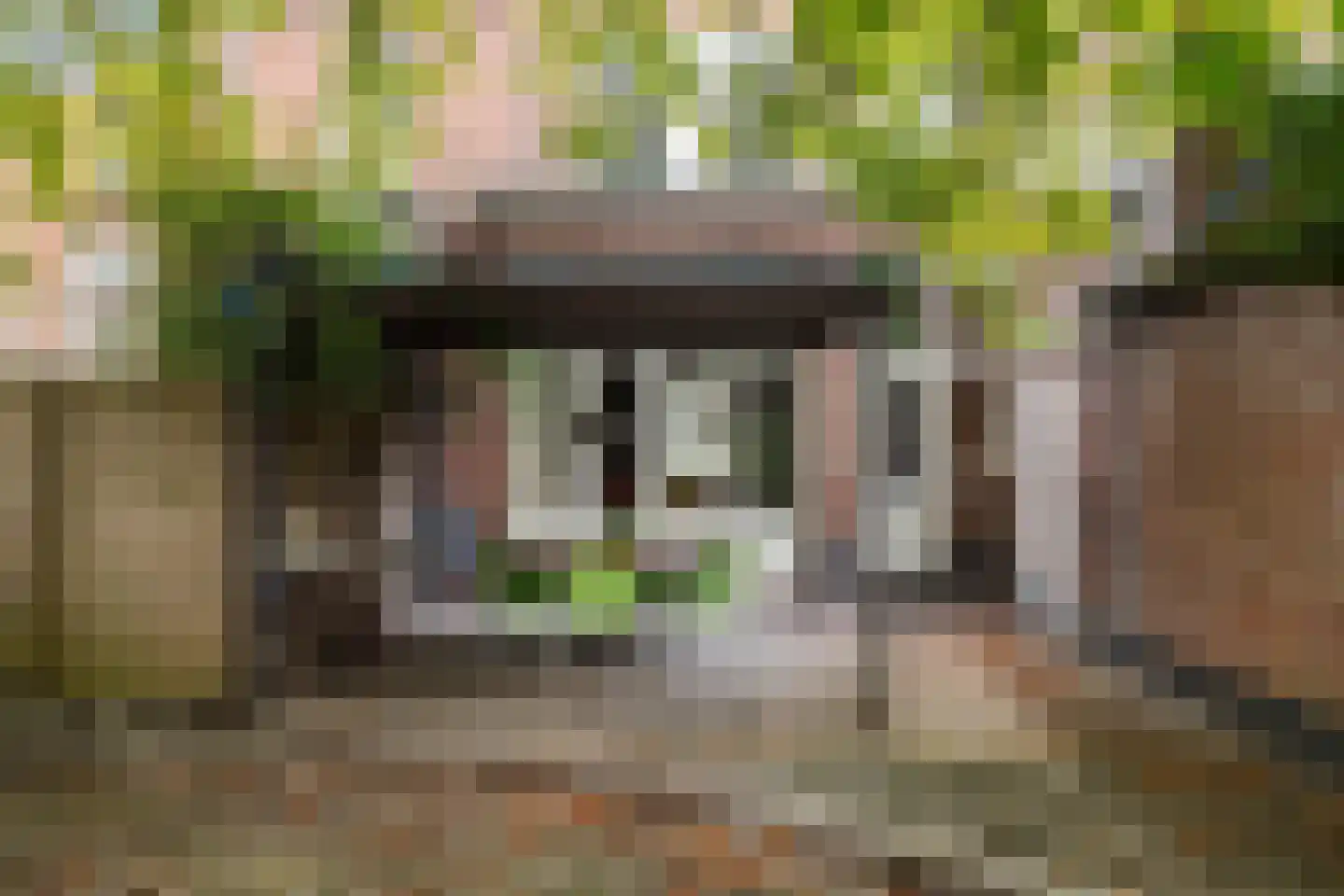 Teteringsedijk 79 Breda thumbnail 33