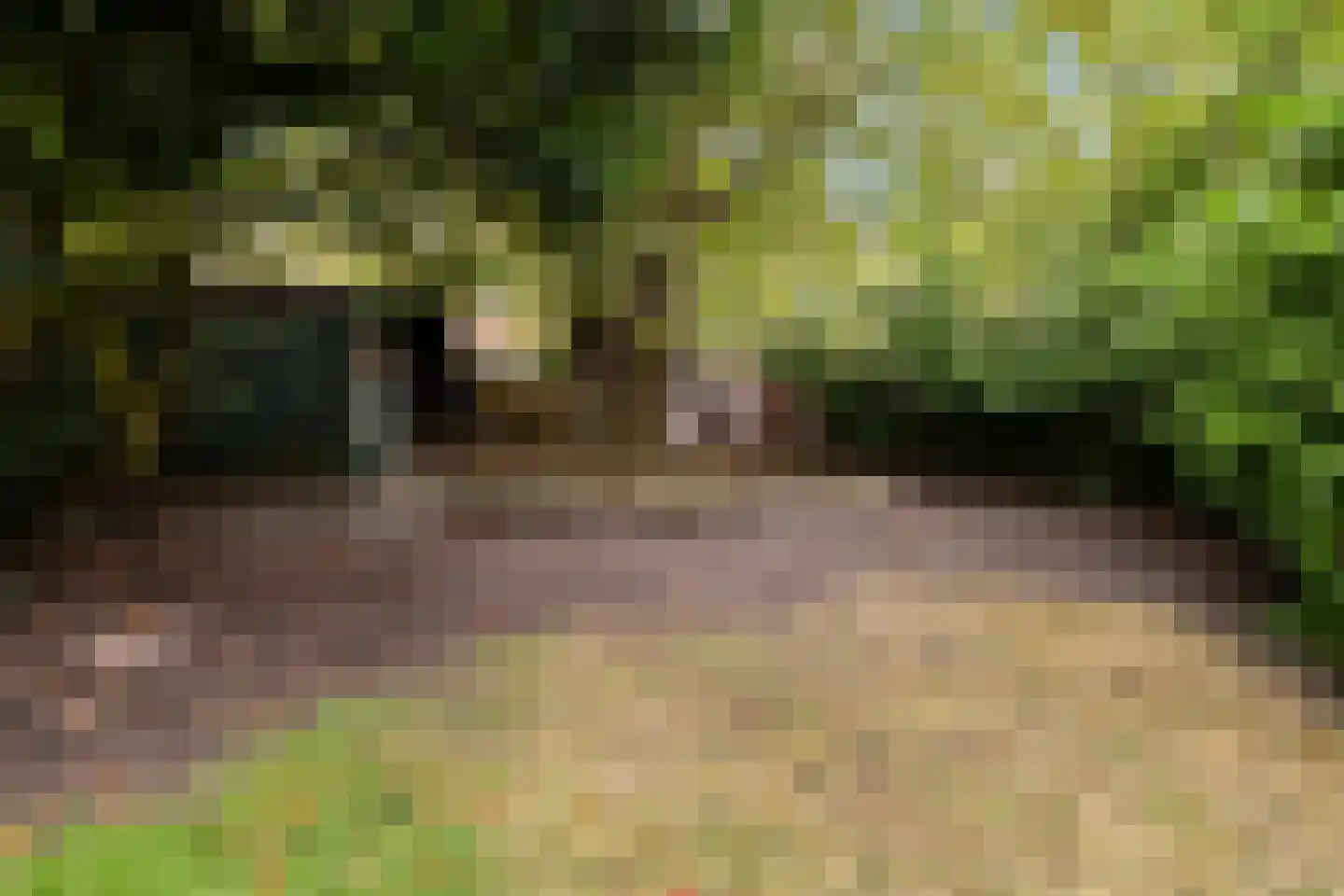 Teteringsedijk 79 Breda thumbnail 38