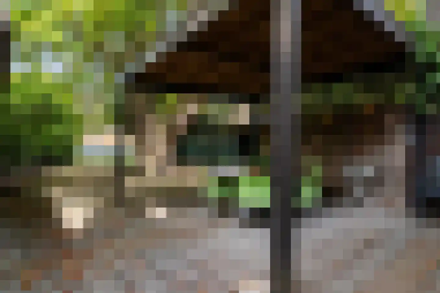 Teteringsedijk 79 Breda thumbnail 5