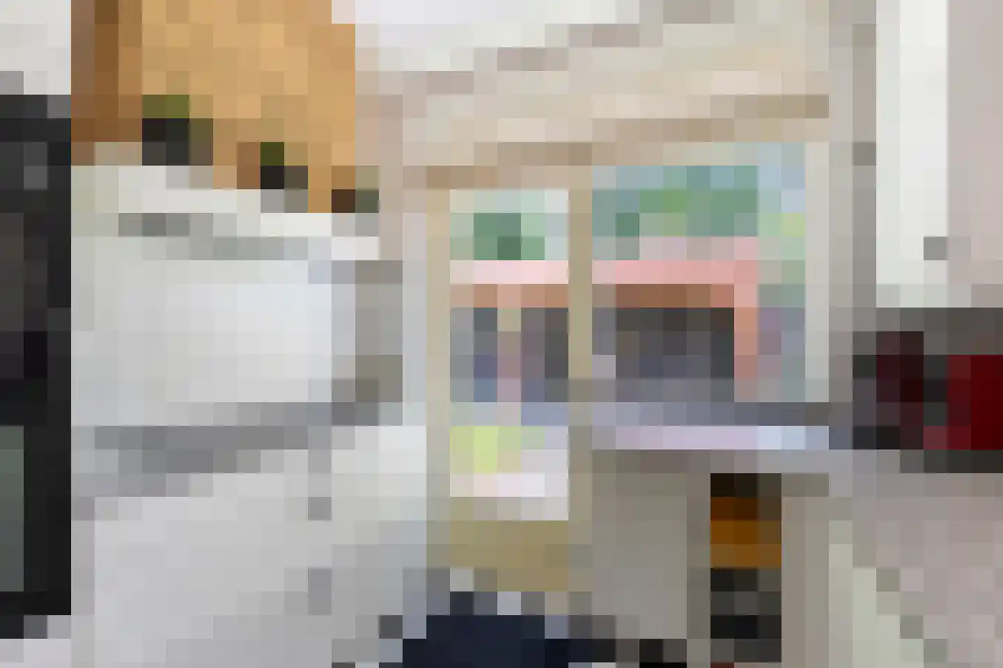 Tethart Haagstraat 1 Alkmaar thumbnail 11
