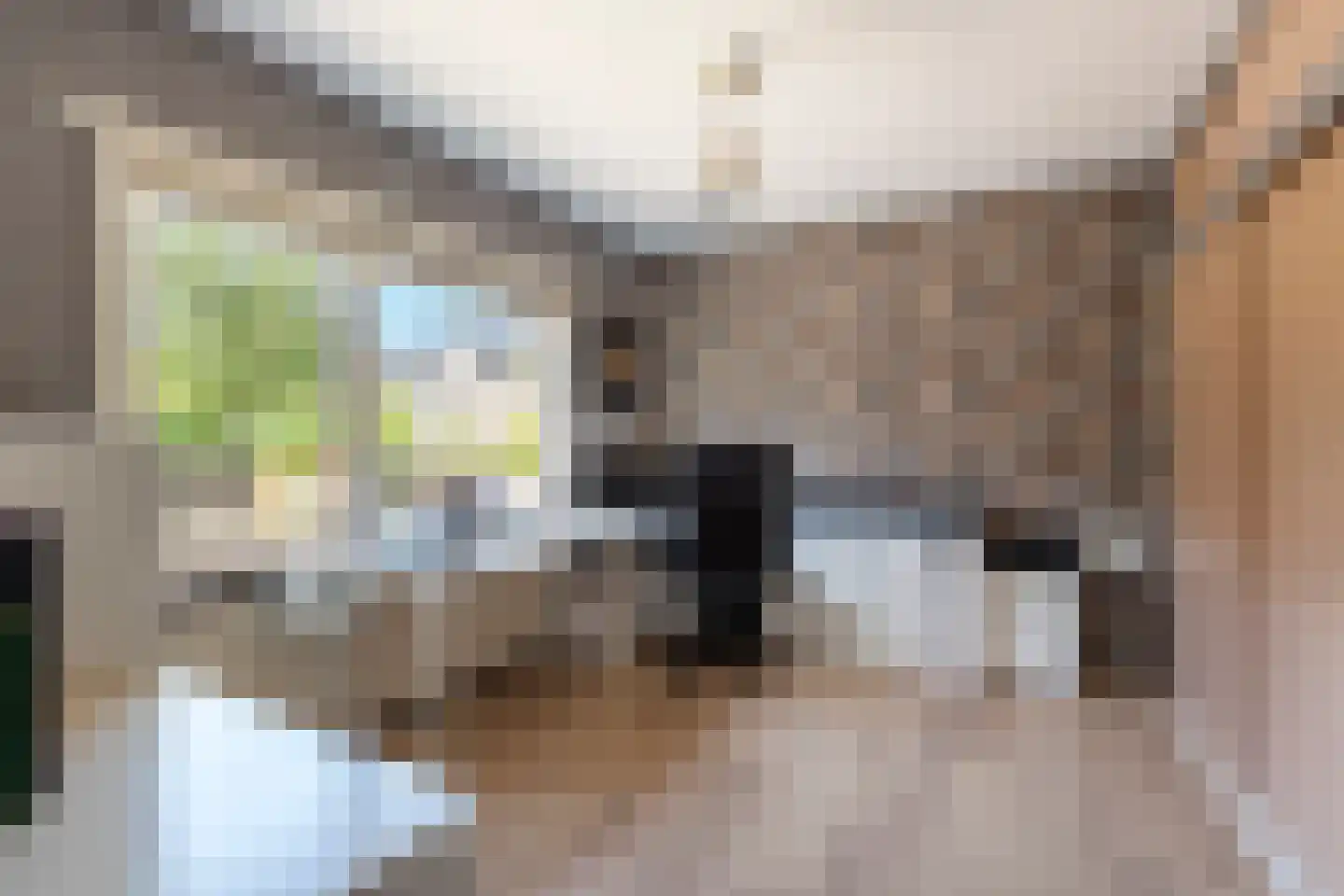 Tethart Haagstraat 1 Alkmaar thumbnail 17