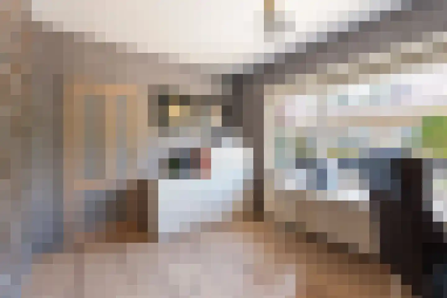 Tethart Haagstraat 1 Alkmaar thumbnail 18