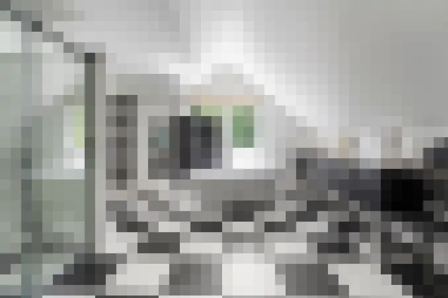 Tethart Haagstraat 1 Alkmaar thumbnail 23