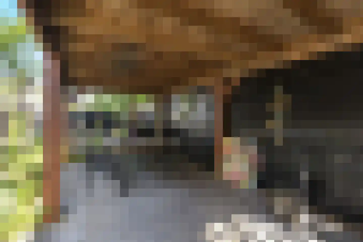 Tethart Haagstraat 1 Alkmaar thumbnail 30