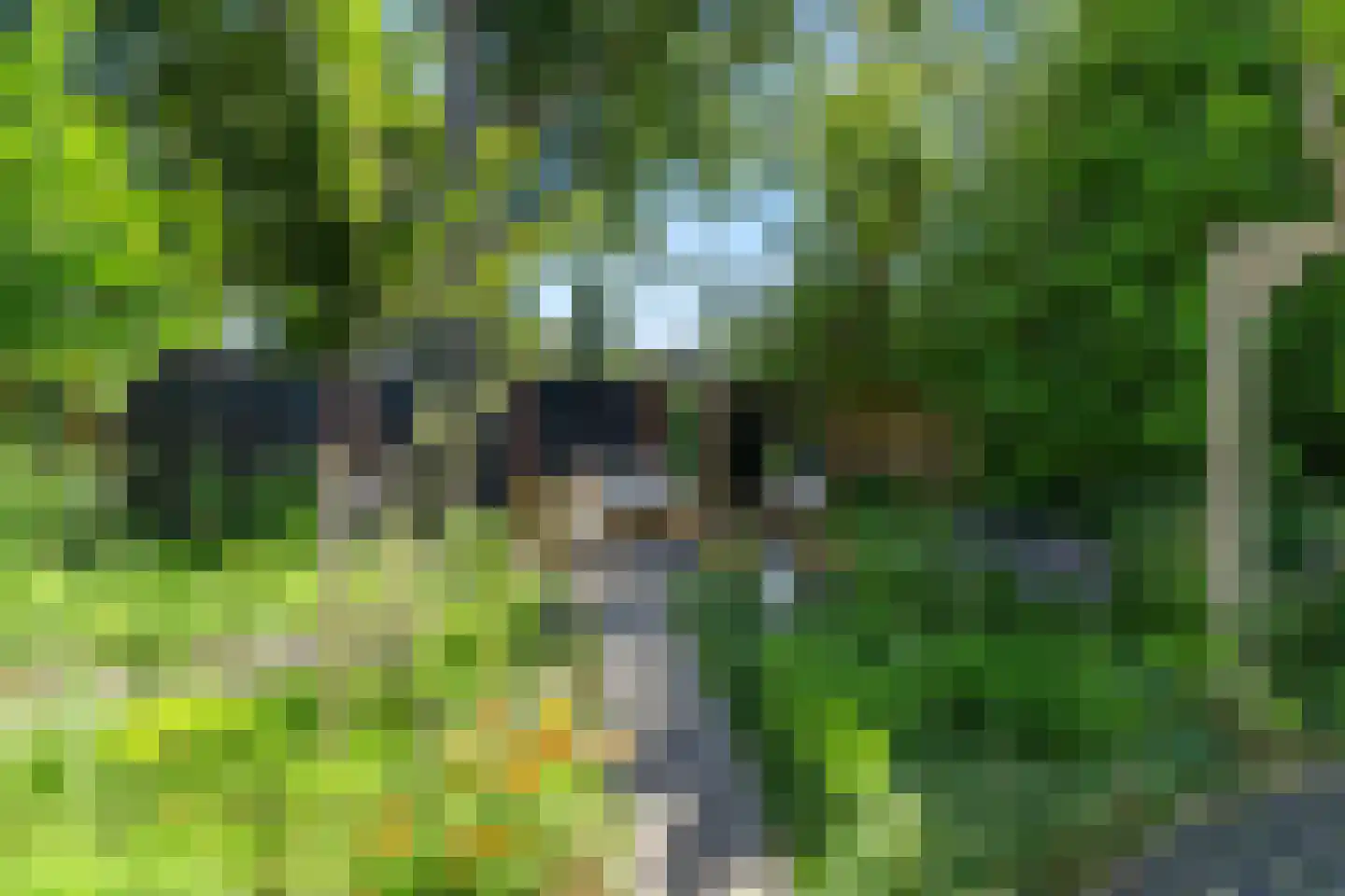 Tethart Haagstraat 1 Alkmaar thumbnail 32