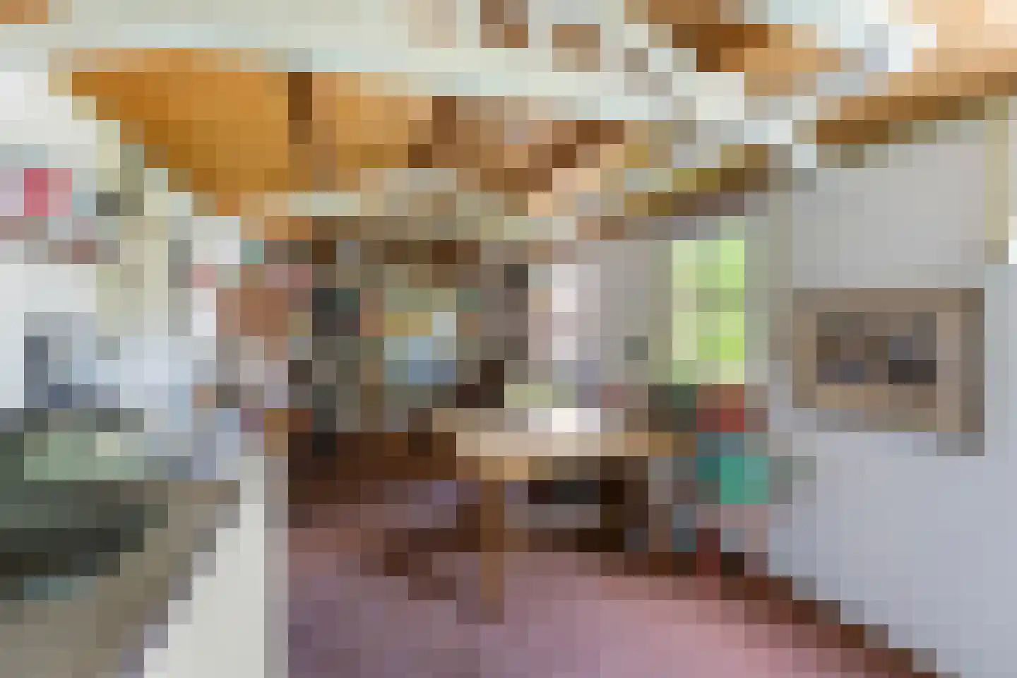 Tethart Haagstraat 1 Alkmaar thumbnail 41