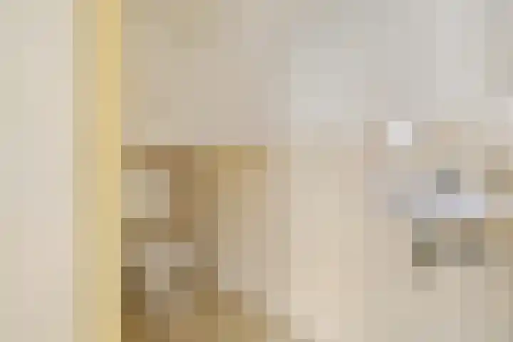 Tets van Goudriaanstraat 23 Naarden thumbnail 11