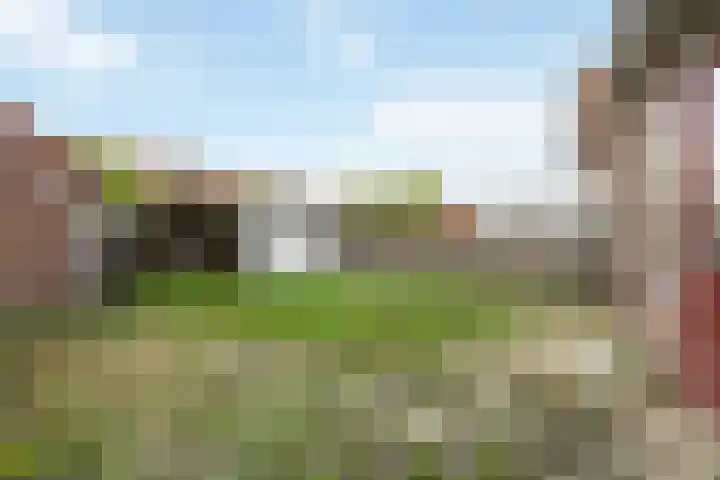 Tets van Goudriaanstraat 23 Naarden thumbnail 19