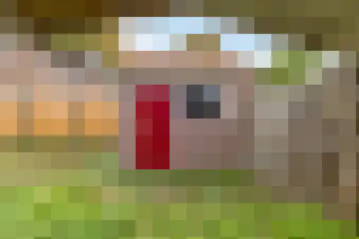 Tets van Goudriaanstraat 23 Naarden thumbnail 22