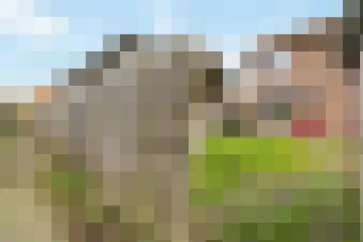 Tets van Goudriaanstraat 23 Naarden thumbnail 23