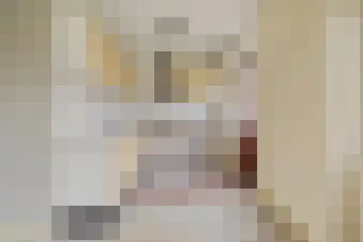 Tets van Goudriaanstraat 23 Naarden thumbnail 8