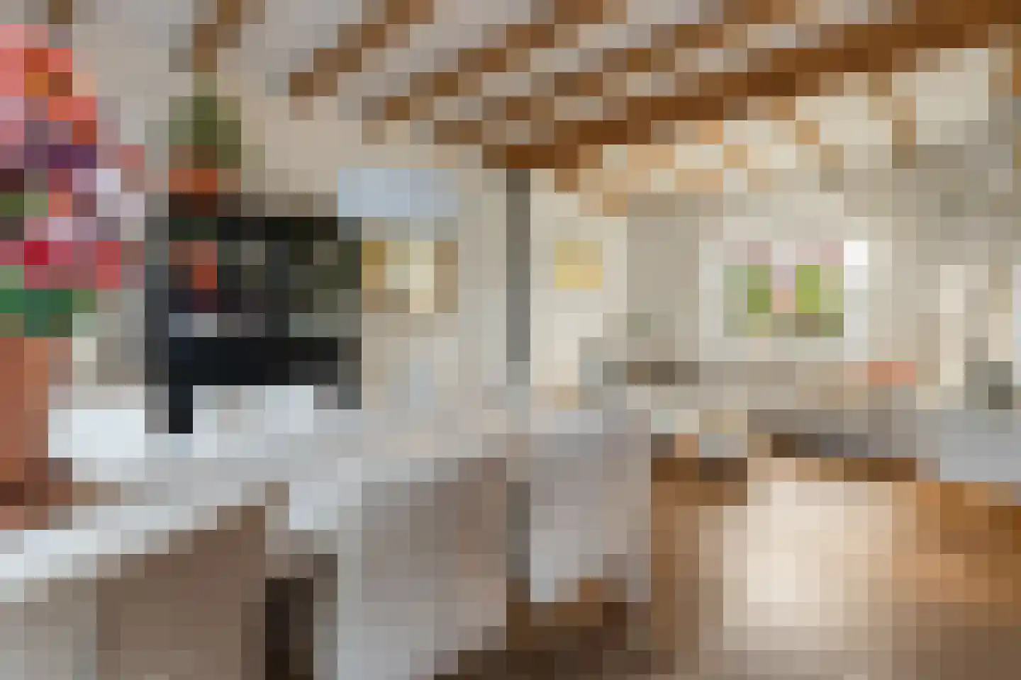 Tets van Goudriaanstraat 4 Naarden thumbnail 13