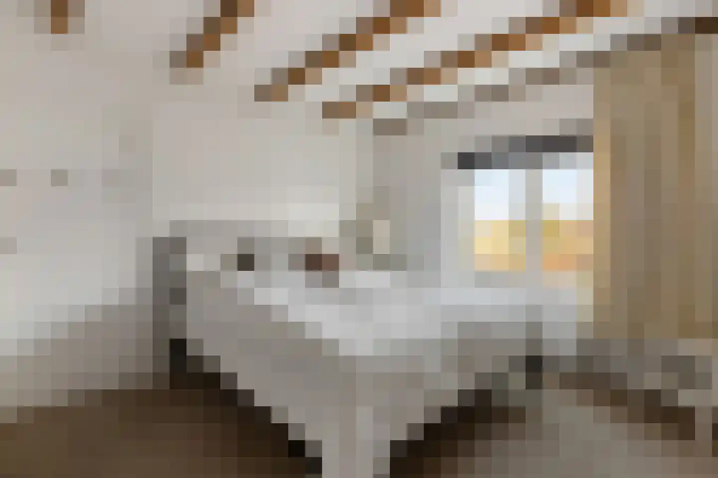 Tets van Goudriaanstraat 4 Naarden thumbnail 19