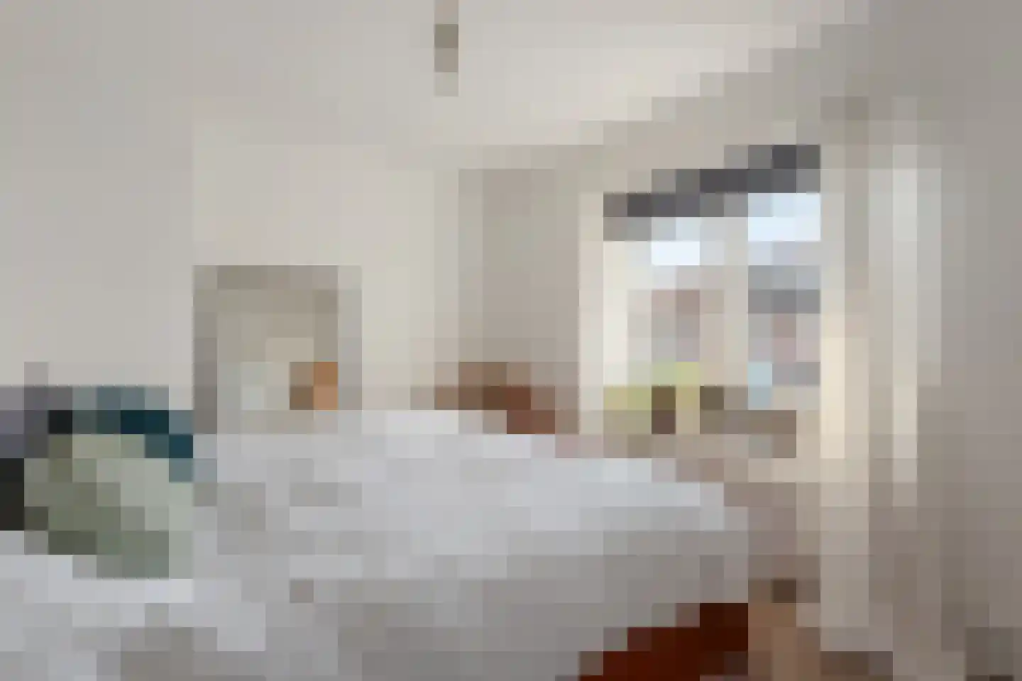 Tets van Goudriaanstraat 4 Naarden thumbnail 24