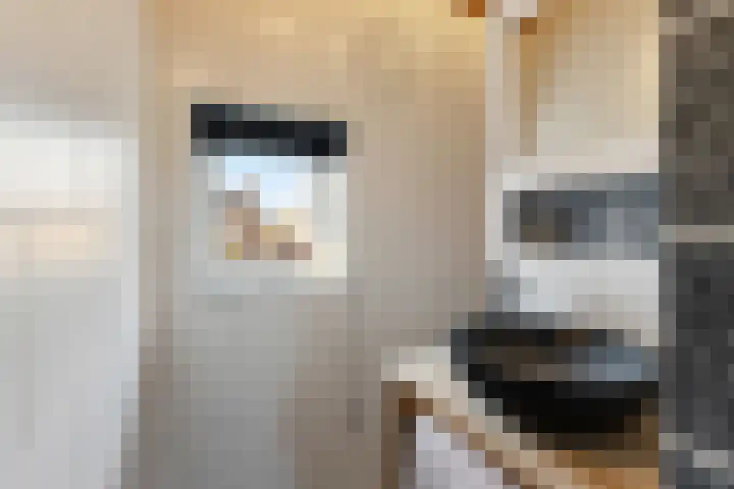 Tets van Goudriaanstraat 4 Naarden thumbnail 27