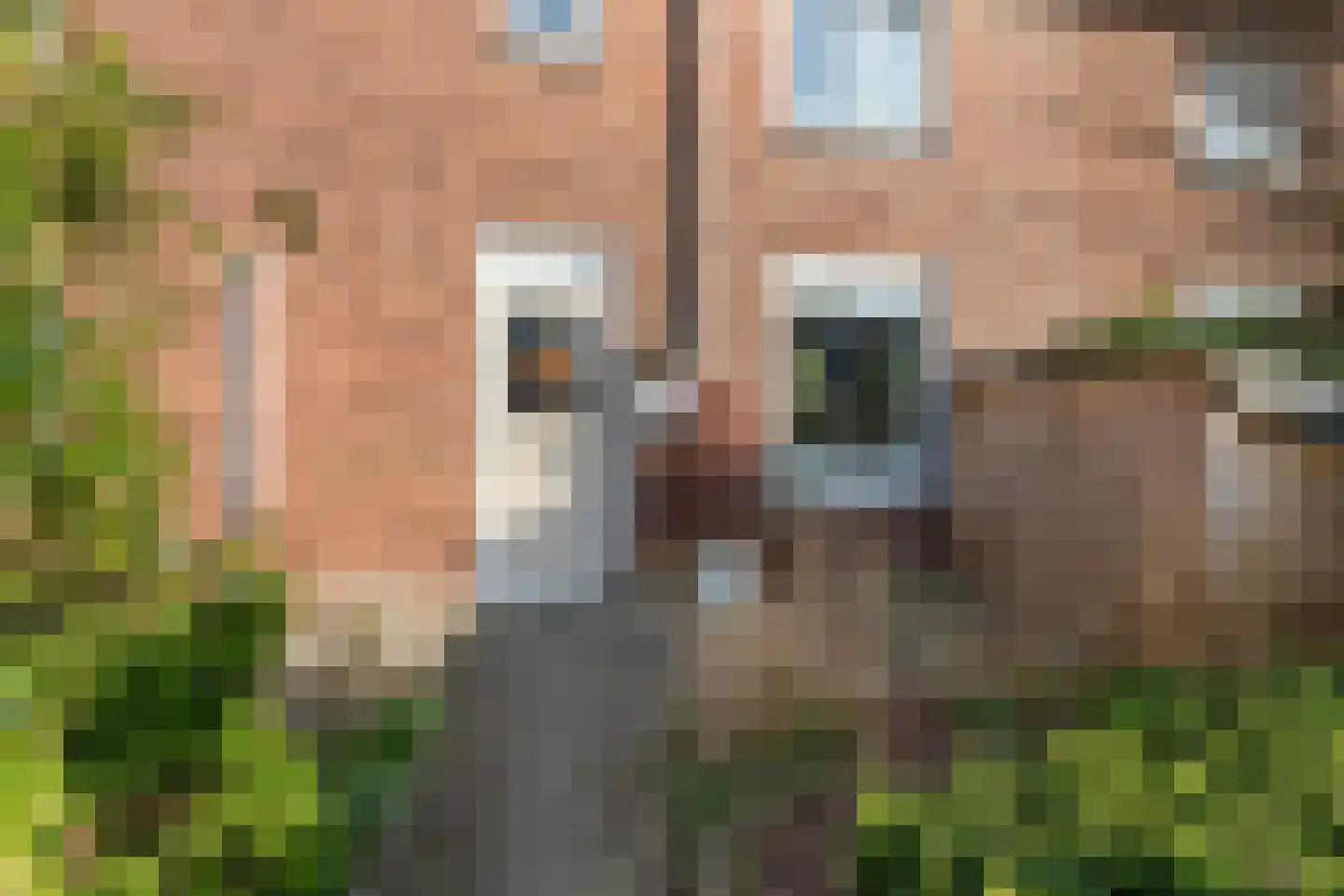 Tets van Goudriaanstraat 4 Naarden foto 3