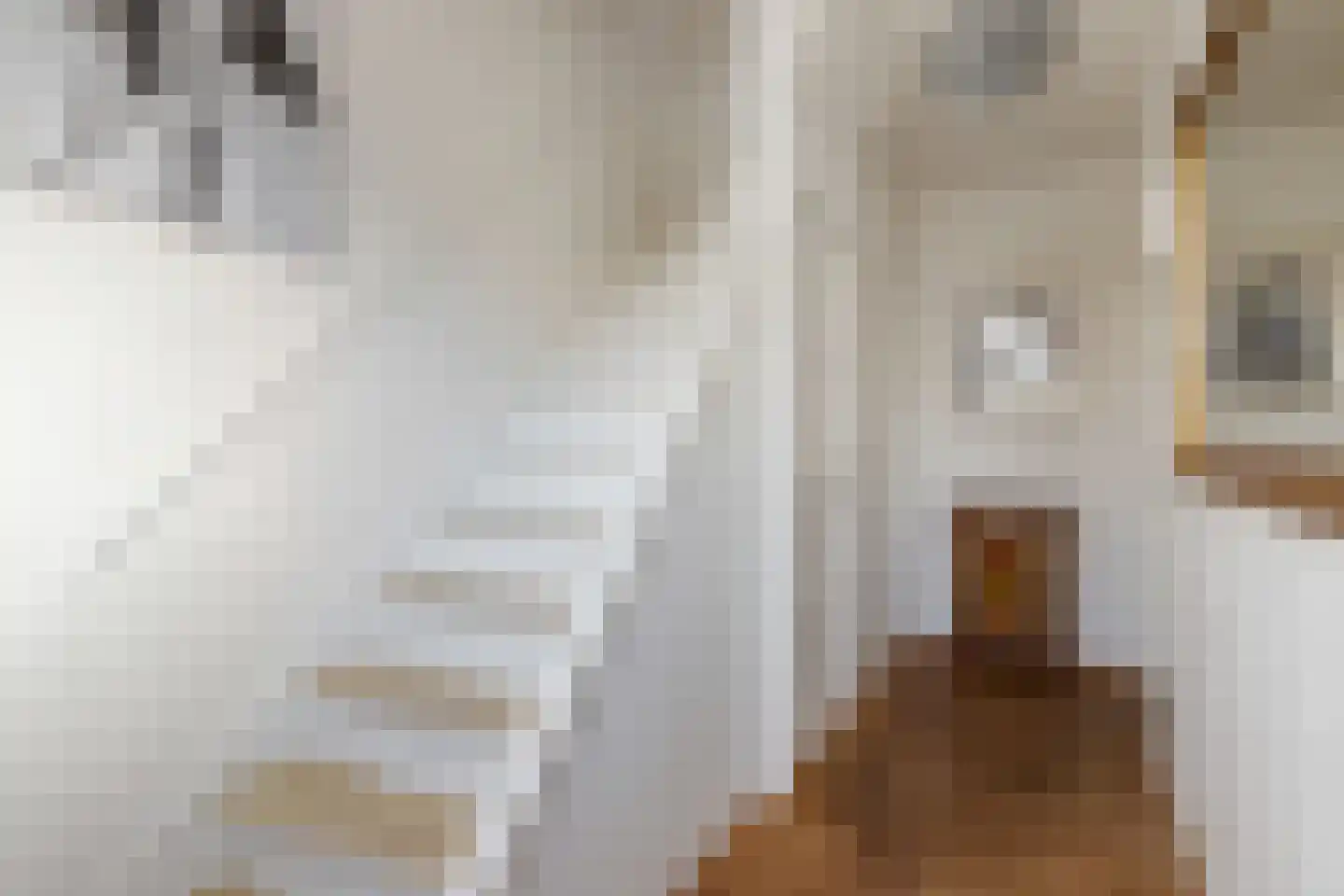 Tets van Goudriaanstraat 4 Naarden thumbnail 5