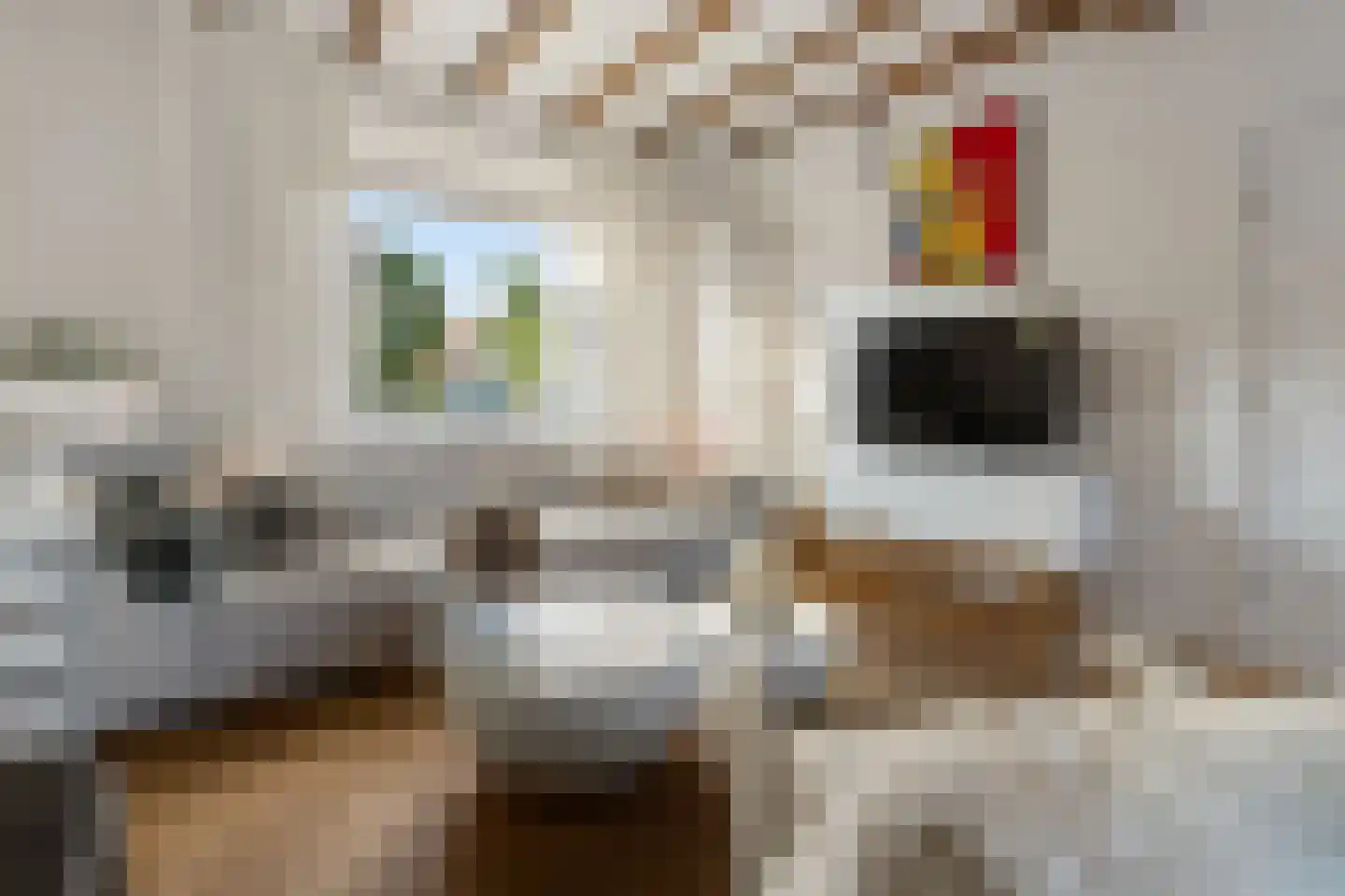Tets van Goudriaanstraat 4 Naarden thumbnail 8