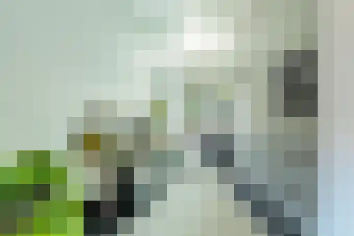 Tetterode 18 Nieuw-Vennep thumbnail 5