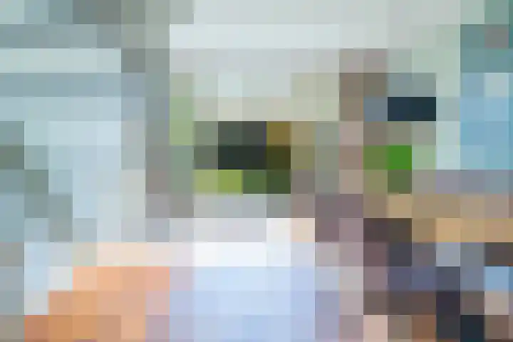 Tetterode 18 Nieuw-Vennep thumbnail 7