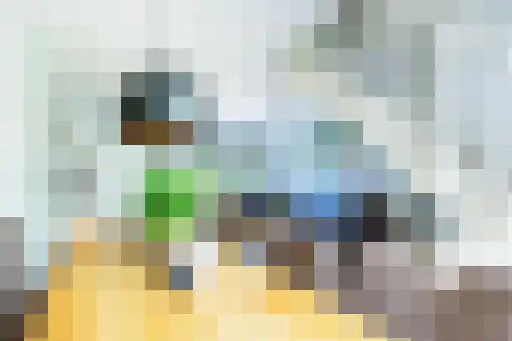 Tetterode 18 Nieuw-Vennep thumbnail 8