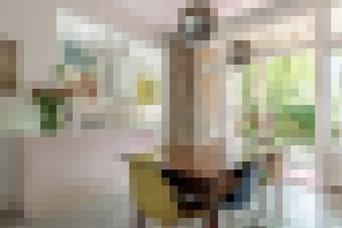 Tetterodestraat 4 Haarlem thumbnail 10