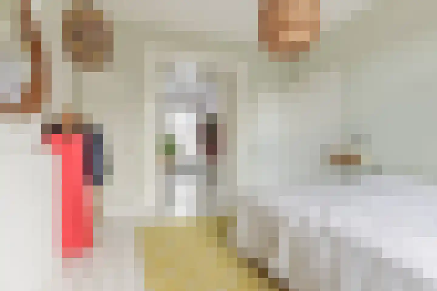 Tetterodestraat 4 Haarlem thumbnail 18