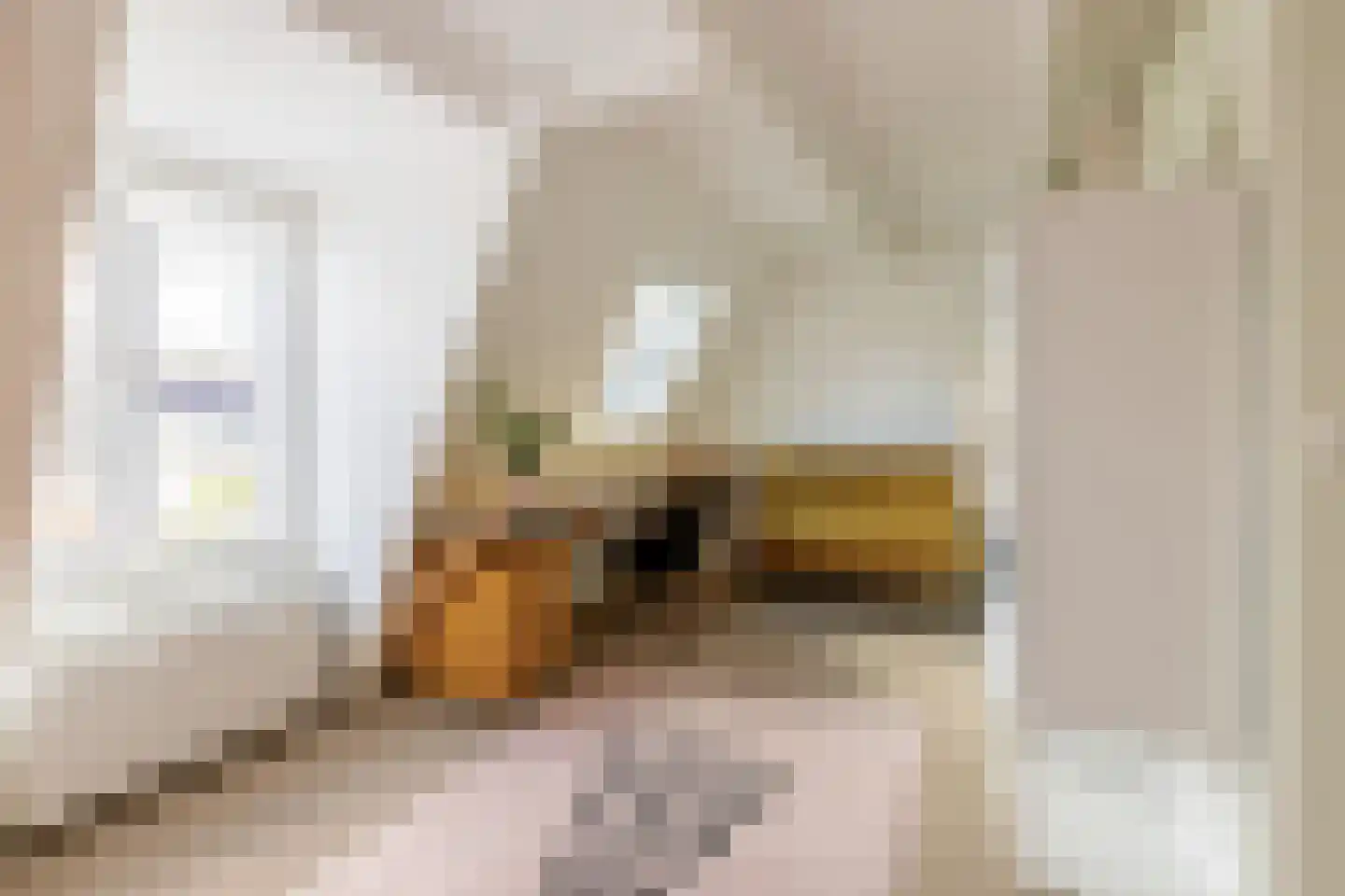 Tetterodestraat 4 Haarlem thumbnail 28
