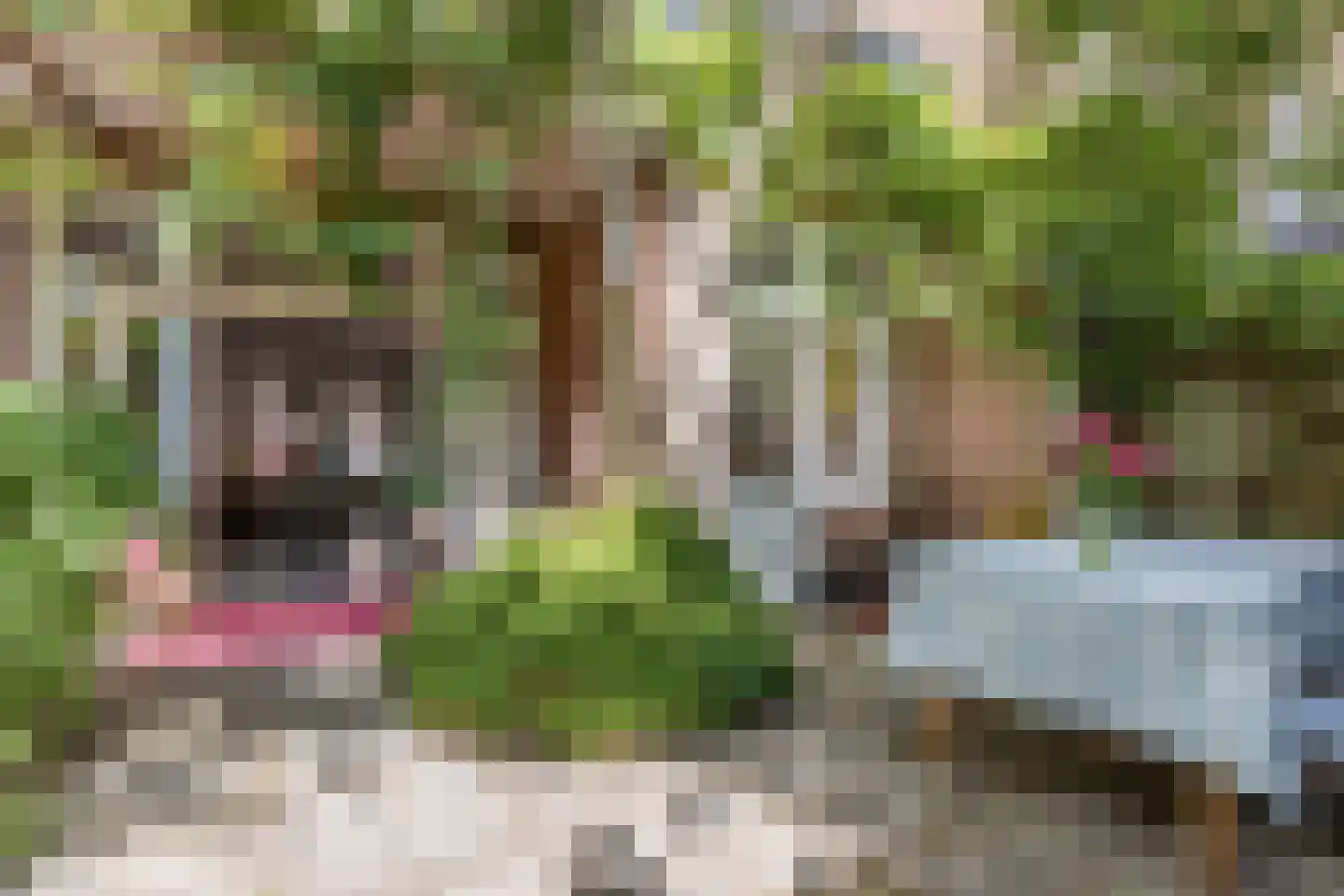 Tetterodestraat 4 Haarlem thumbnail 33