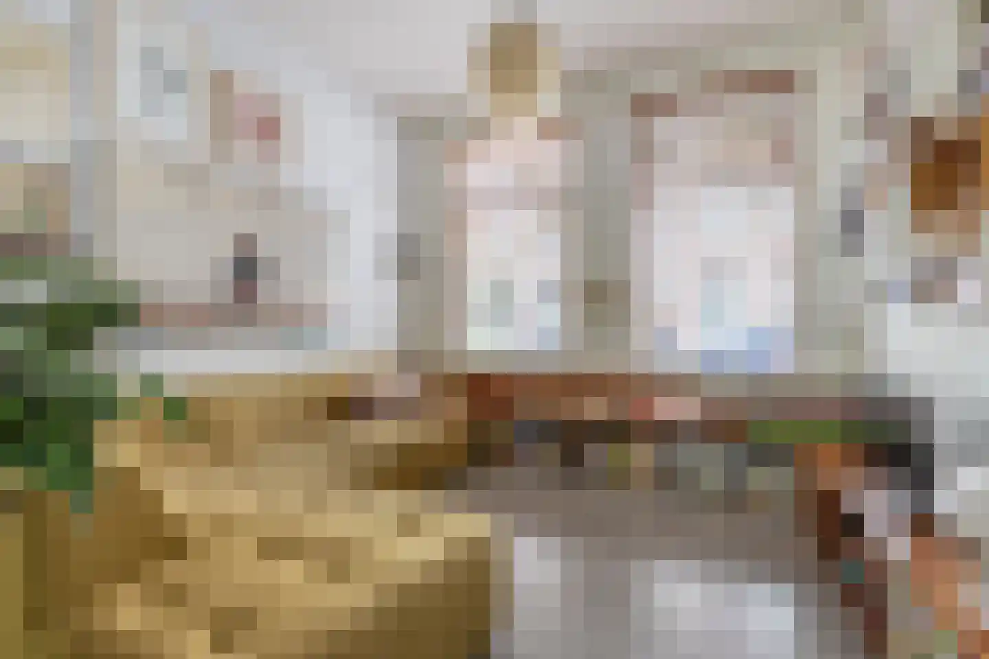 Tetterodestraat 4 Haarlem thumbnail 8