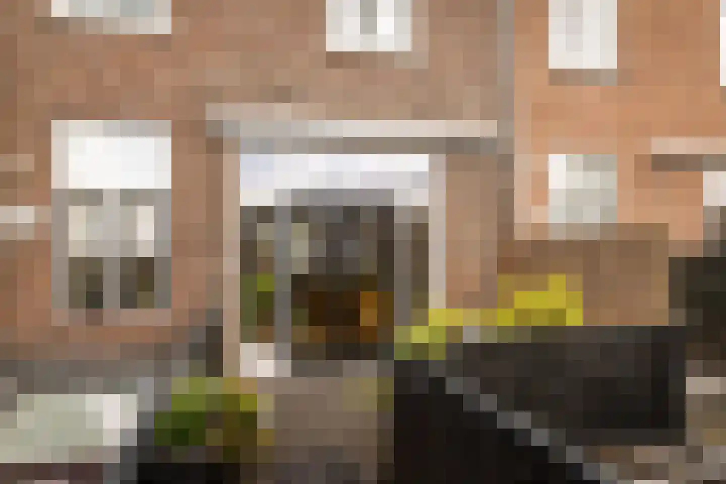 Tetterodestraat 48 RD Haarlem thumbnail 25