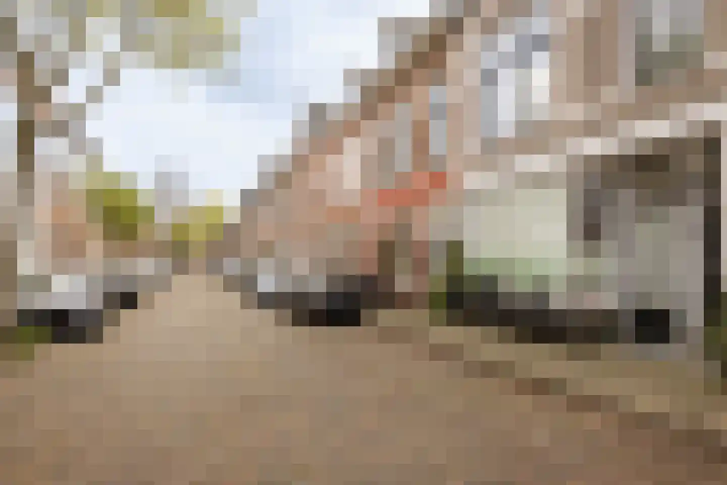 Tetterodestraat 48 RD Haarlem thumbnail 46