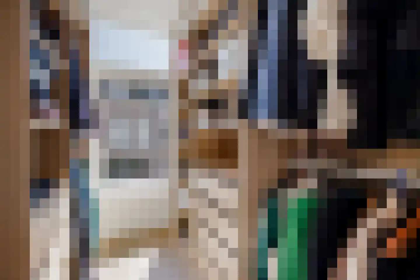 Tetterodestraat 5 Haarlem thumbnail 21